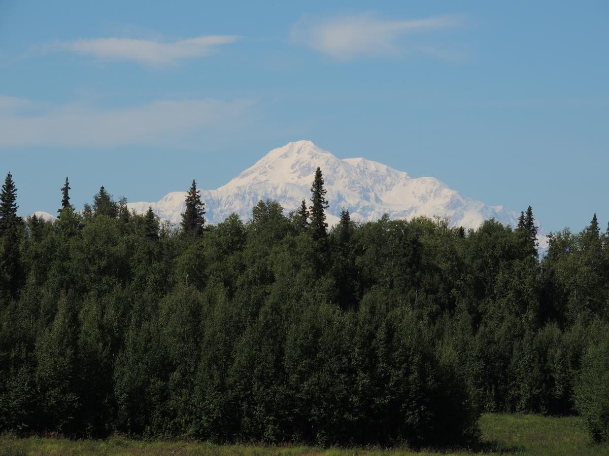 Falcon'S Nest Bed And Breakfast Talkeetna Exterior photo